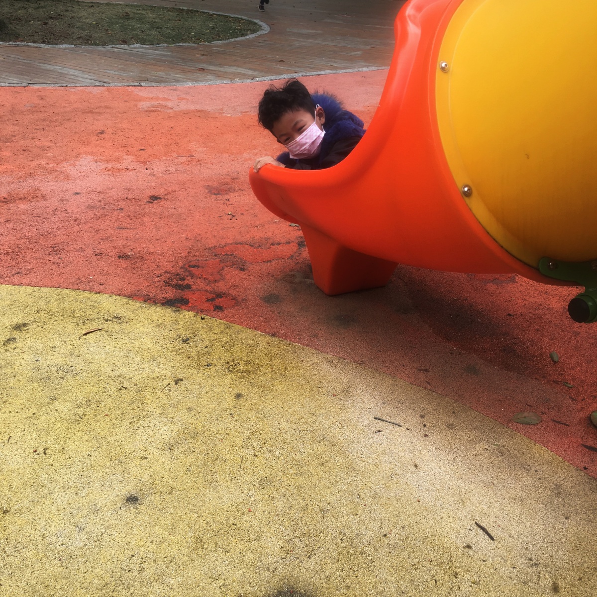 200208 宝贝已经8天没出门了!今天节日特赦她