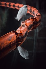 80213