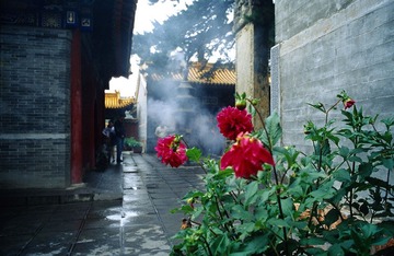 Image8