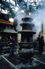 Image7
