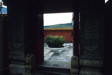 Image6
