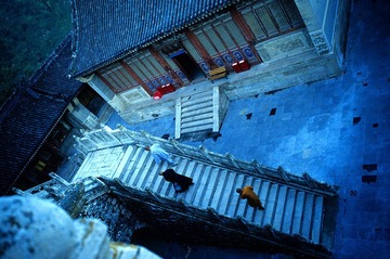Image21