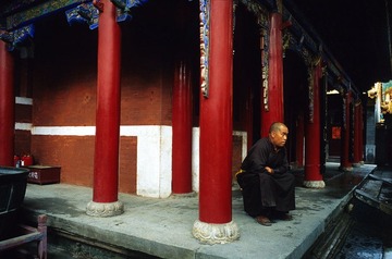 Image1