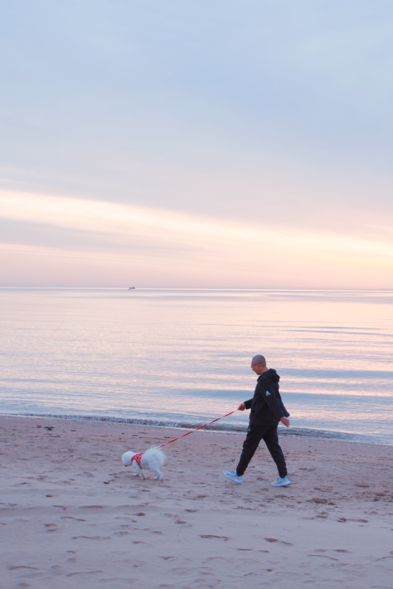 在海边遛狗