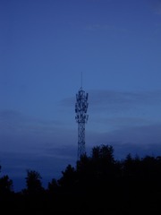 1524204