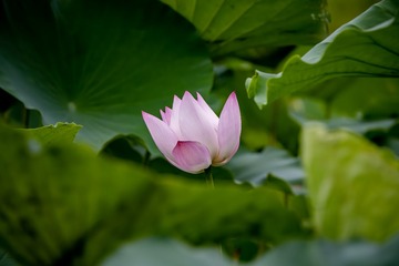 7940CA27-ED26-4914-A34F-AD14AA8E9F50/L0/001