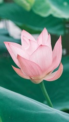 001