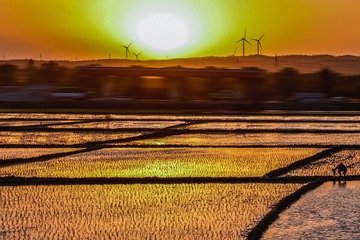 RAW_8437-3