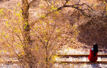 _RAW5779