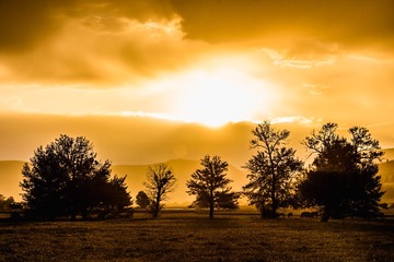 _RAW4377