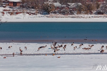 2014-02-19 11-58-10