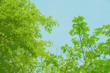 B88C3F91-E3BB-4DC2-8DDB-341AD68FEC81/L0/001