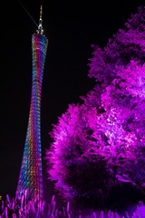 8B385012-917C-4212-A313-6D92B6FA4E25/L0/001