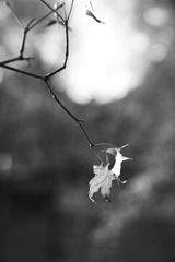 DSC02935-01