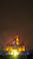P1010411