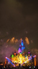 P1010532