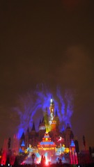 P1010421