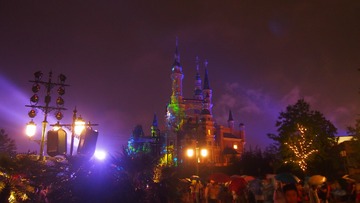 P1010290