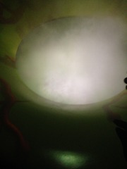 2016-07-02 100551