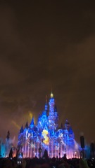 P1010538