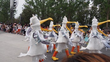 P1010137