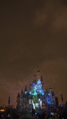 P1010452