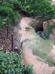2016-07-02 144615