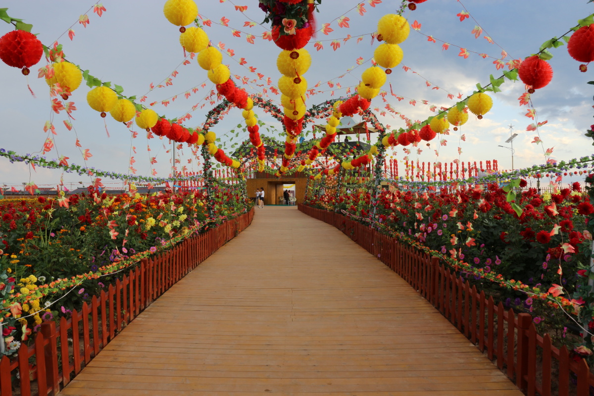 甘肃环县"八珠花海"