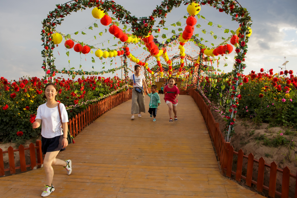 甘肃环县"八珠花海"