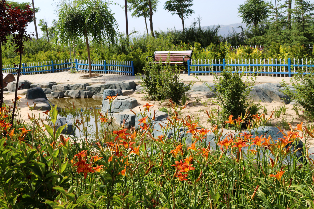 甘肃庆阳环县东山公园风景