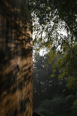 2587249