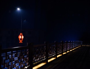 霓虹如意