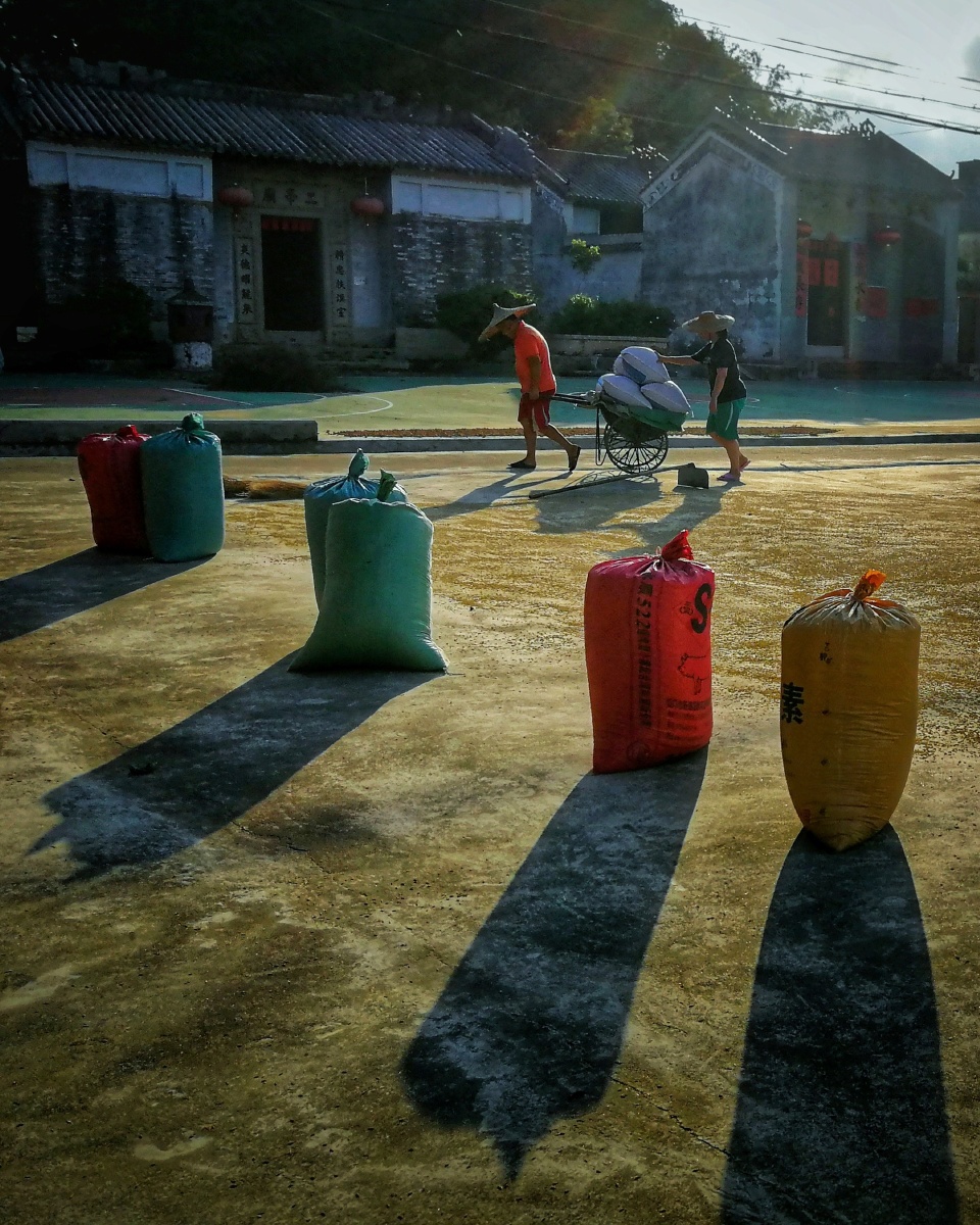 晒谷场的身影