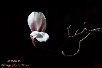 140431