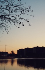 C7383C11-BB12-439E-869F-7A24099EC7C6/L0/001