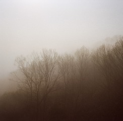 0A897233-64D6-44E8-9D94-5E49C59745E4/L0/001