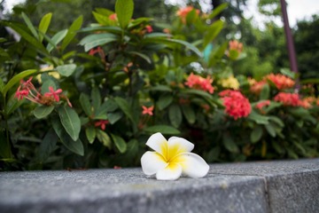 IMGP1117_1