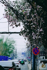 8CAB9798-31C8-469E-809E-02D7B7DE0E70/L0/001