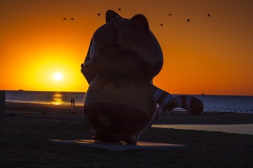 28058