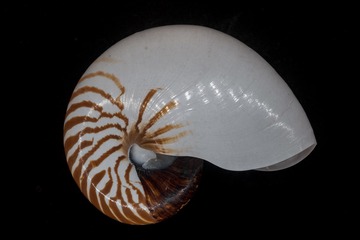 1650716