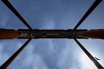 49011