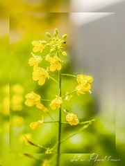 17C8CF35-AE3D-4F63-8F55-765621964E88/L0/001