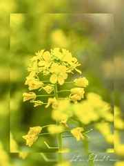 F7A9C799-922D-42C2-A279-17C302919299/L0/001