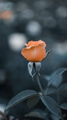669294