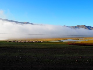 P8260647