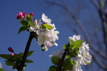 268F70C3-276C-4181-B1BC-8A84A7DC7737/L0/001