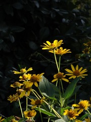 59212E65-8F7C-4804-AB16-DDA328D3ABE0/L0/001