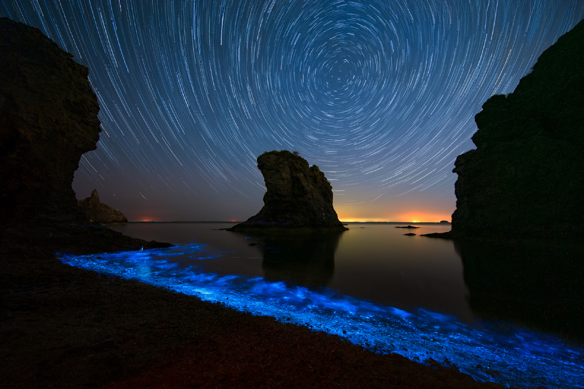 大连荧光海 - 崇鉴 - 图虫