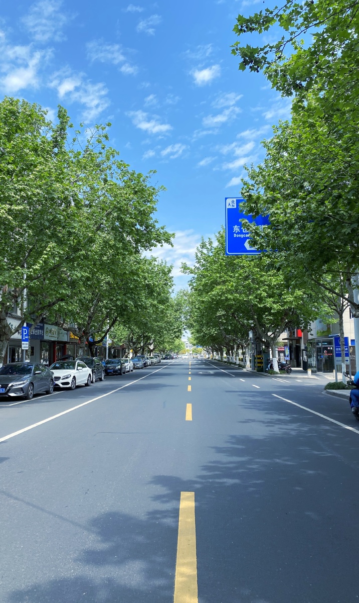 林荫街道 - 丹枫雨露 - 图虫