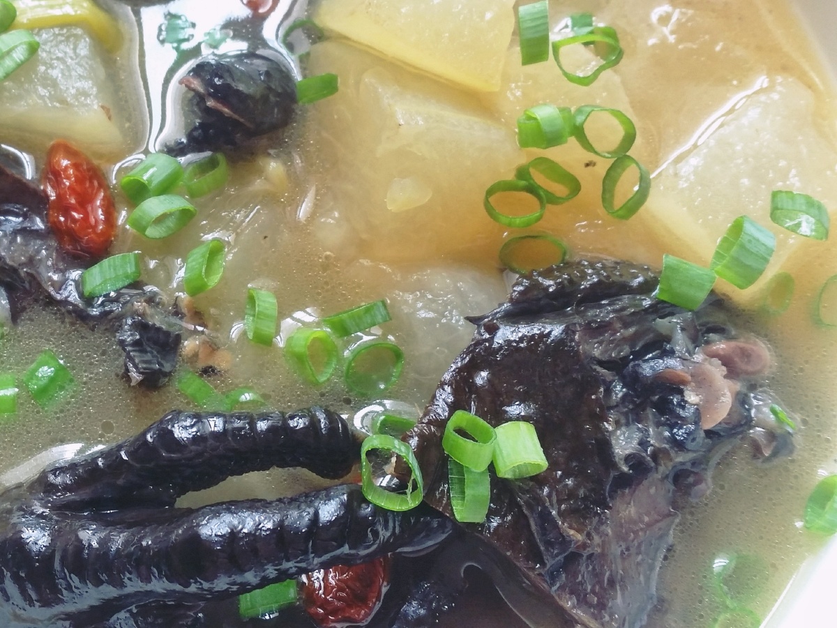 今日推荐乌鸡冬瓜汤